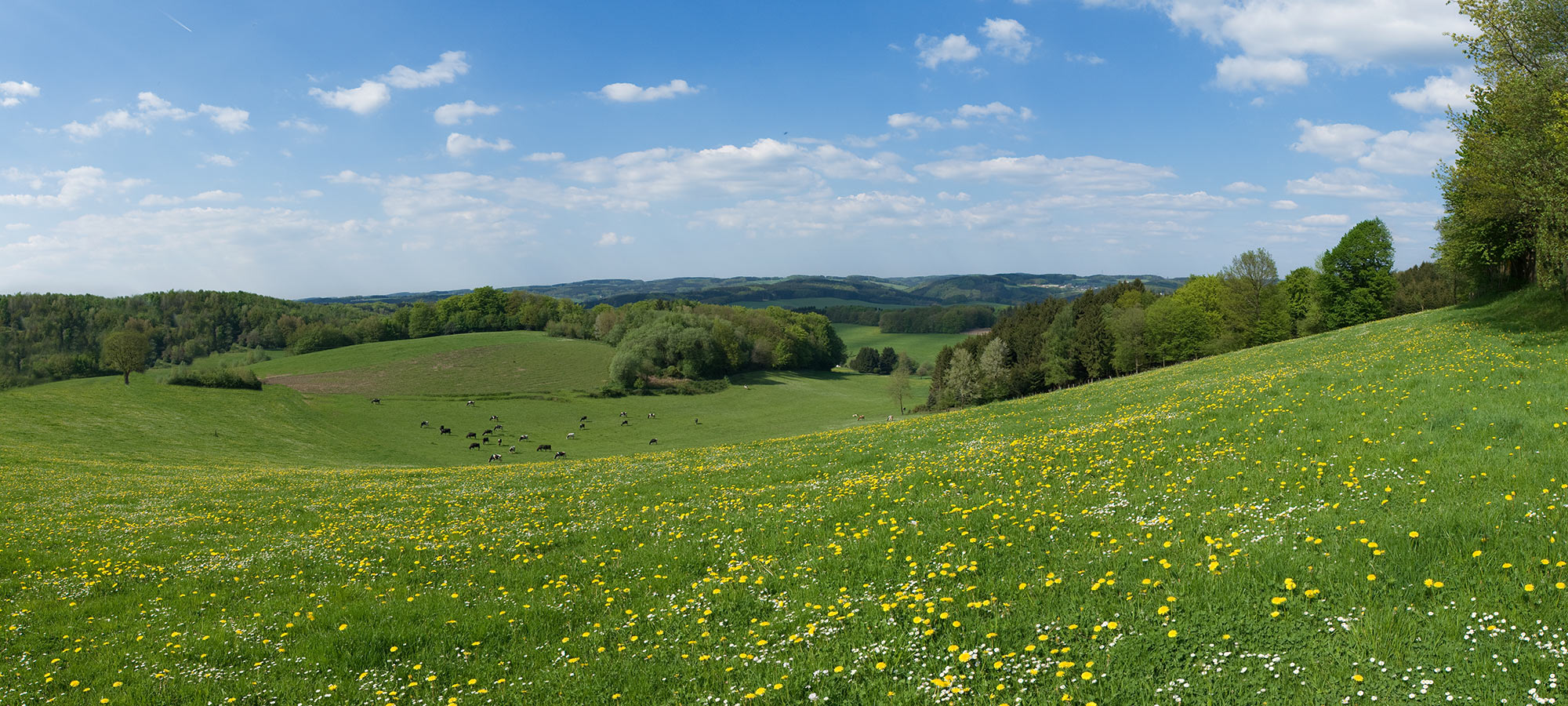 Ausblick vom Industriegebiet Klause in Lindlar